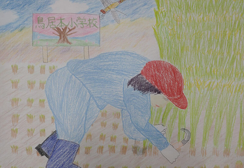 <br />
<b>Warning</b>:  Undefined variable $alt in <b>/home/marugotoho/shiga-nouson-marugoto.com/public_html/wpadm/wp-content/themes/marugoto2015/archive-picture.php</b> on line <b>59</b><br />
