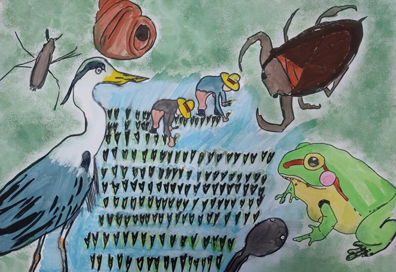 <br />
<b>Warning</b>:  Undefined variable $alt in <b>/home/marugotoho/shiga-nouson-marugoto.com/public_html/wpadm/wp-content/themes/marugoto2015/archive-picture.php</b> on line <b>59</b><br />
