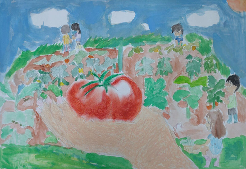 <br />
<b>Warning</b>:  Undefined variable $alt in <b>/home/marugotoho/shiga-nouson-marugoto.com/public_html/wpadm/wp-content/themes/marugoto2015/archive-picture.php</b> on line <b>59</b><br />
